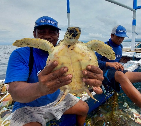 Encuentran una tortuga marina indefensa en medio de una montaña de desechos plásticos.