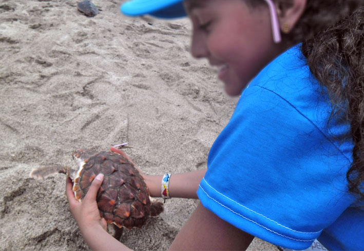 Niña morena sonriendo, sostiene una tortuga marina en sus manos, para colocarla en la playa y que se dirija al mar