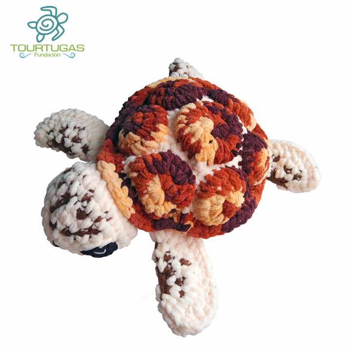 Tortuga nocturna - Image 2