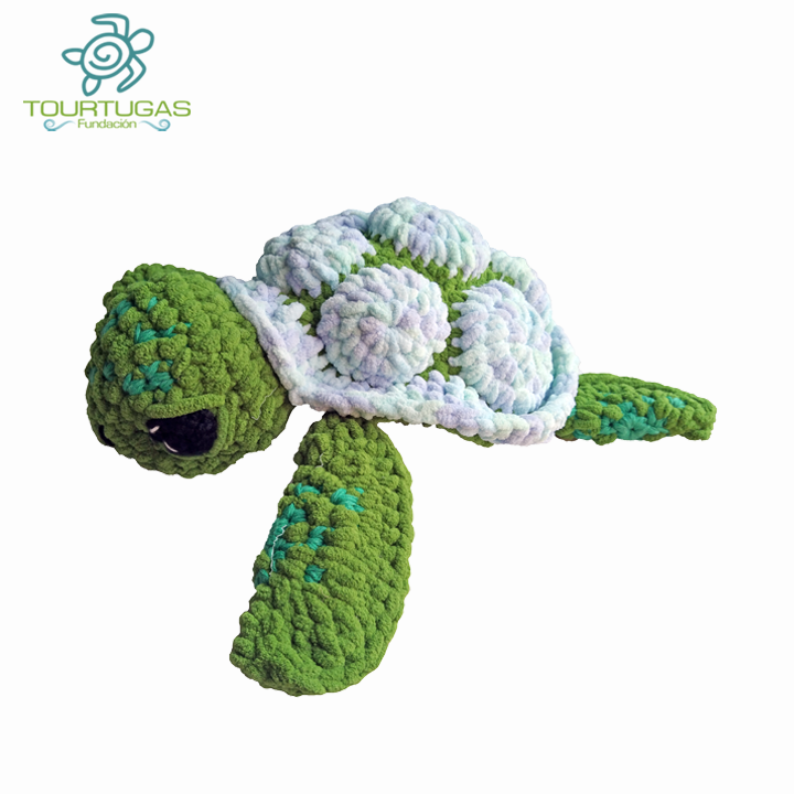 Tortuga nocturna - Image 6